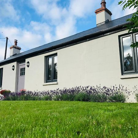 Lavender Cottage - 2 Bedroom Home Newbridge  Exterior foto
